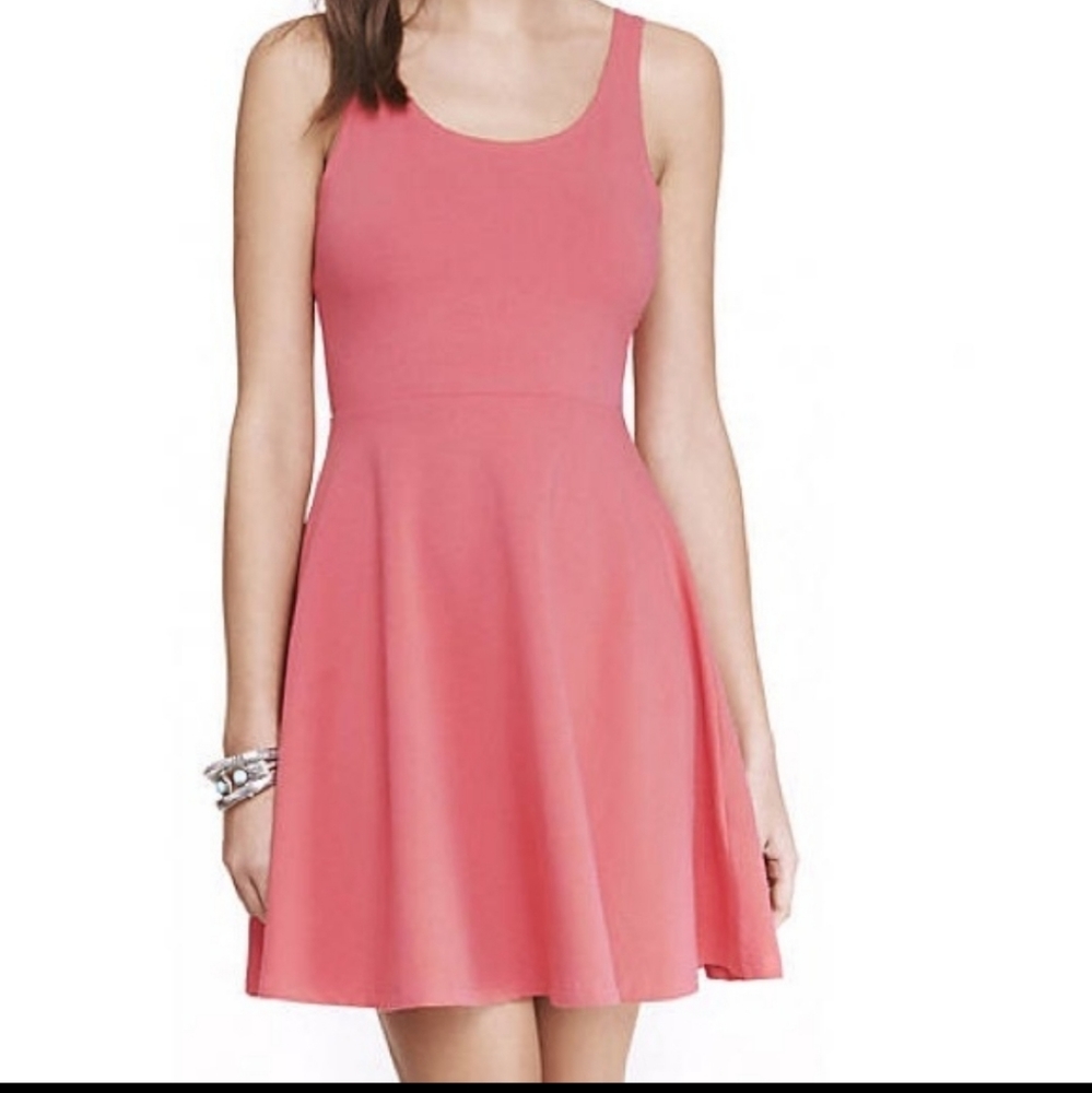 Express Fit and Flare Skater Dress